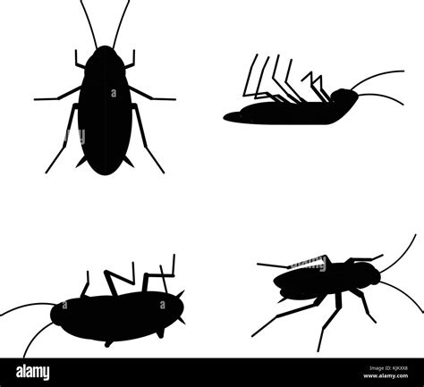 Vector Dead Cockroach Black Silhouette Set Bug Insect Stock Vector Image & Art - Alamy