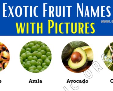 Fruits That Start With R Properties And Pictures Engdic