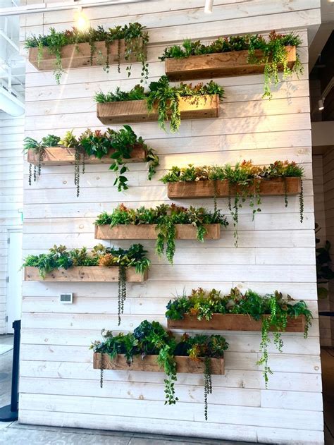 Several Wooden Planters Are Arranged On The Wall With Plants Growing In