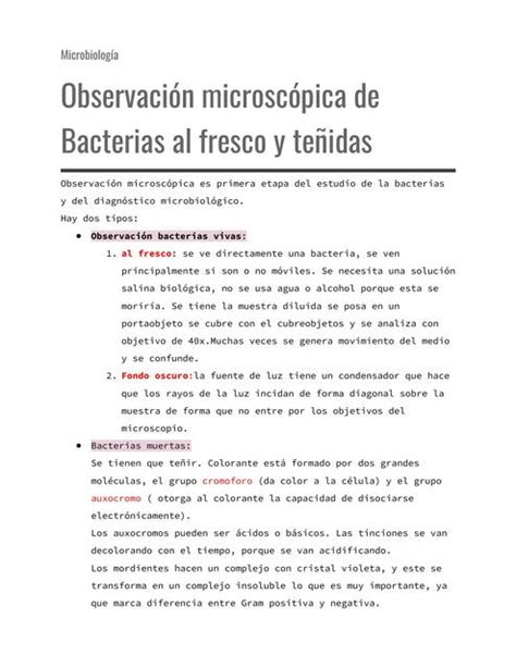 Observaci N Microsc Pica De Bacterias Al Fresco Y Te Idas Yuli Bonita