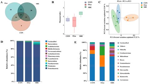 Antioxidants Free Full Text The Interaction Between Oxidative