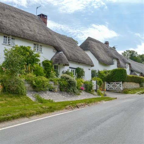 thatched owners group