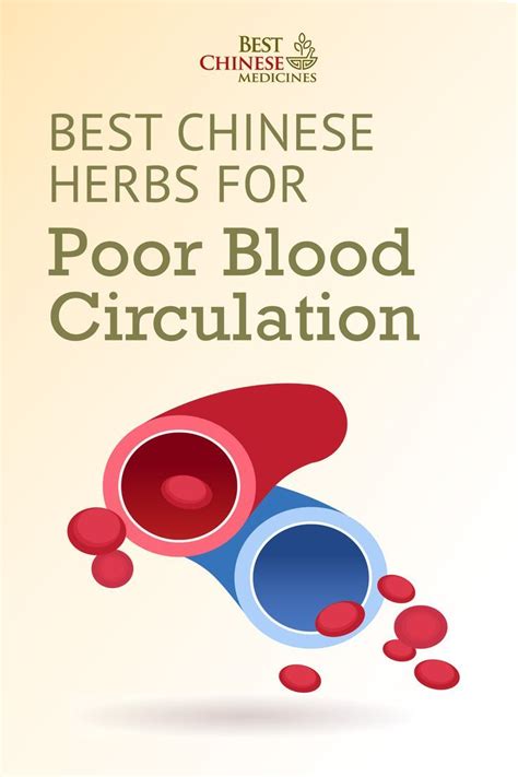 Best Chinese Herbs For Poor Blood Circulation Artofit