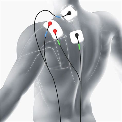 Trapezius Electrode Pad Placement Compex Placement For Traps Tens