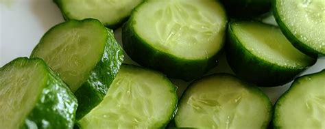 Kanka_food | Погрузитесь в мир Kanka_food, где сама природа становится ...