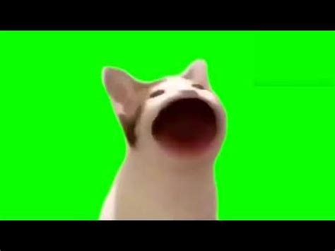 Pop Cat Meme Template / Pop Cat Meme Template Meme Generator Imgflip ...