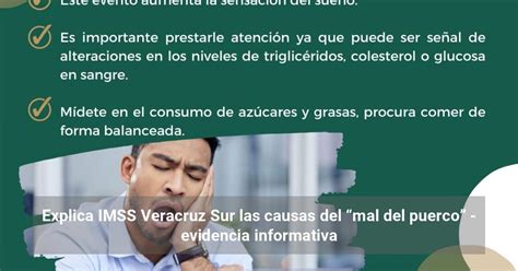 Explica Imss Veracruz Sur Las Causas Del Mal Del Puerco Evidencia