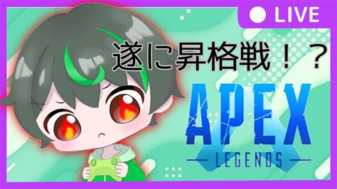 Apexランク 遂にこの時が！ダイヤ昇格戦～応援待ってます！常連さん常連さん大歓迎～ Apex Apexランク 初見歓迎 Youtube