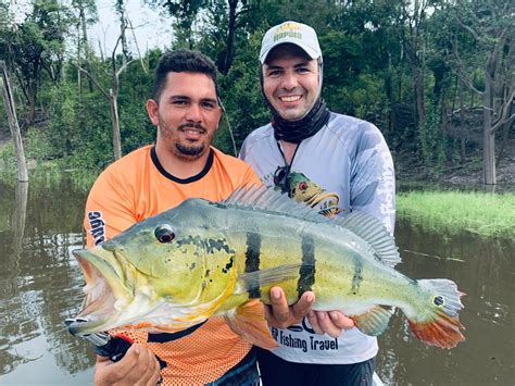 Como Pescar Tucunaré no Rio Juma AM Pesca e Turismo nos Rios do Amazonas