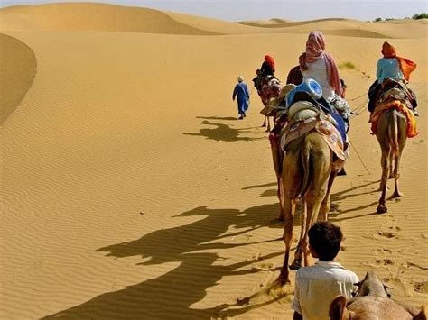 Stunning Sand dunes in Jaisalmer Rajasthan. (Sam, Khuri & Lodhruva)