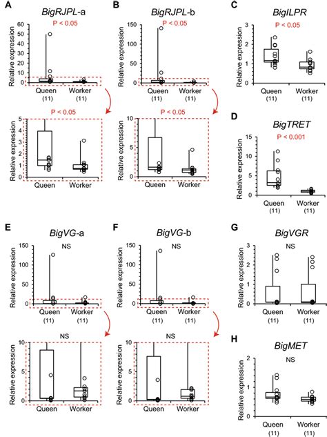 Relative Expression Levels In Six Genes Involved In Nutrition And A