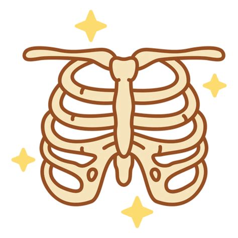 Rib Cage Png Designs For T Shirt Merch