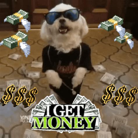 Dog Money GIFs - Find & Share on GIPHY