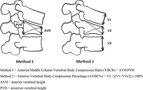 Surveyed Measurement Techniques For Assessing Vertebral Body Height