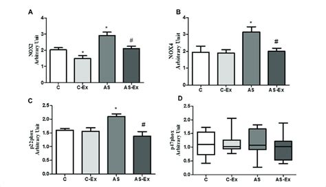 Gene Expression Of Nadph Oxidase Subunits A Nox B Nox C