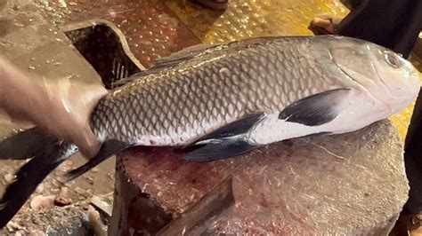 Big Katla Fish Cutting Skills In Fish Market Amazing Cutting Skills