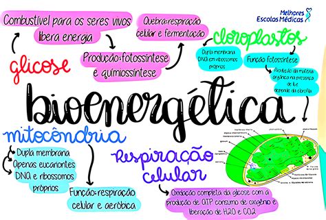 Mapa Mental Sobre Bioenerg Tica Maps Study