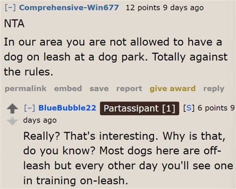 A Friendly Dog Approaches A Kid In A Dog Park, But Instead Of Pets Gets ...