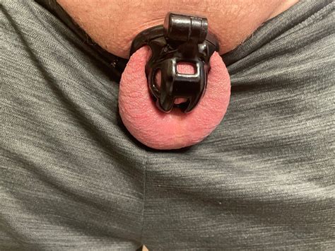 Gay Chastity Retweets 20K On Twitter RT GSC4reals GayChastityRTs