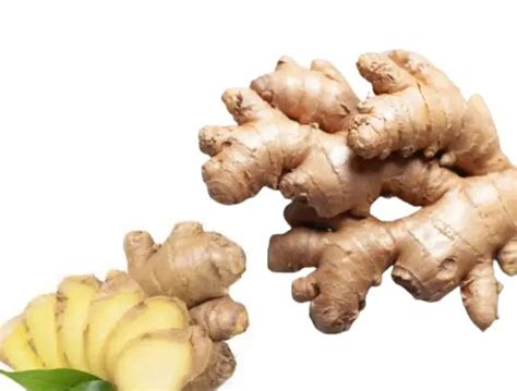 6 Scientifically Proven Ginger Benefits For Men Sexually