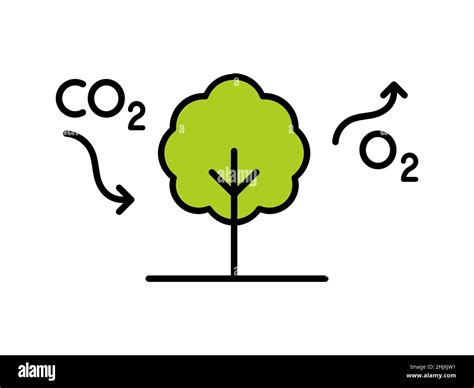 Carbon cycle diagram hi-res stock photography and images - Alamy