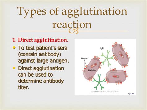 Agglutination Test It Is One Of Important Laboratory Method To Detect