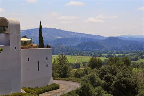 The Colorful Cardinal : Aerial Views at Sterling Vineyards