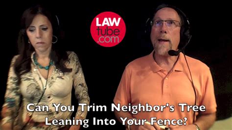 Can You Trim Neighbors Tree Leaning Into Your Fence Youtube