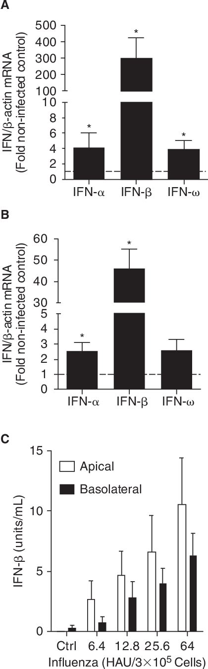 Figure 3 From Localization Of Type I Interferon Receptor Limits