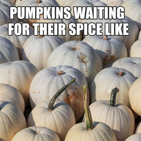 Enjoy Fall With These Funny Pumpkin Spice Memes