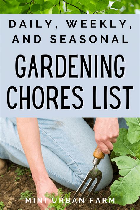 Daily Weekly Garden Chores The Ultimate Guide Mini Urban Farm