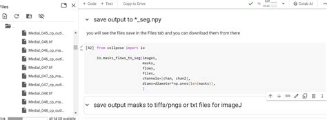 Cellpose Colab Seg Npy Not Saving Development Image Sc Forum