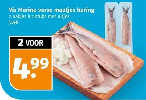 Vis Marine Verse Maatjes Haring Aanbieding Bij Poiesz