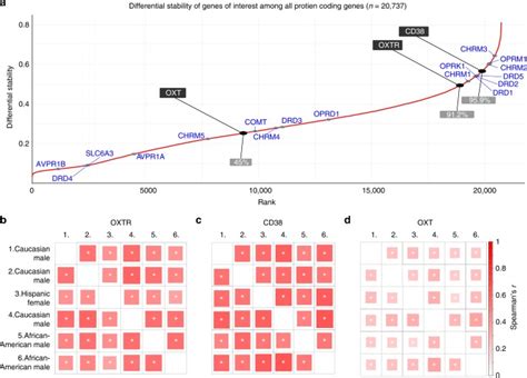 Oxytocin Pathway Gene Networks In The Human Brain Abstract Europe PMC