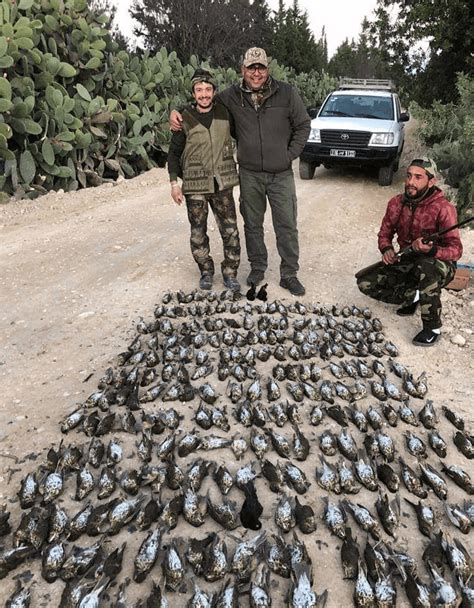 Galerie De Chasse En Tunisie Photos De Chasse Au Sanglier Et Aux Grives