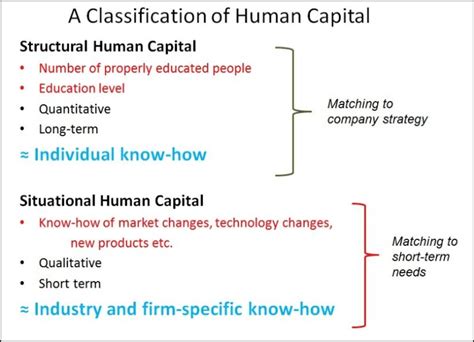 A Classification Of Human Capital Download Scientific Diagram