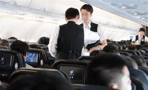 Korean Air Male Flight Attendant