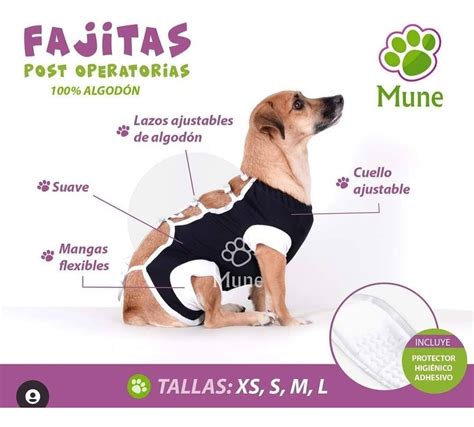 Fajas Post Quirúrgicas Operatorias Perros Gatos algodón m MercadoLibre