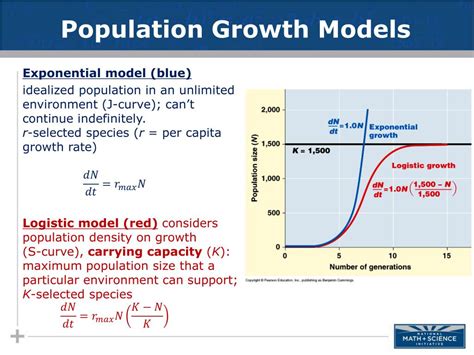 PPT - Ecology Population Ecology PowerPoint Presentation, free download - ID:1585010