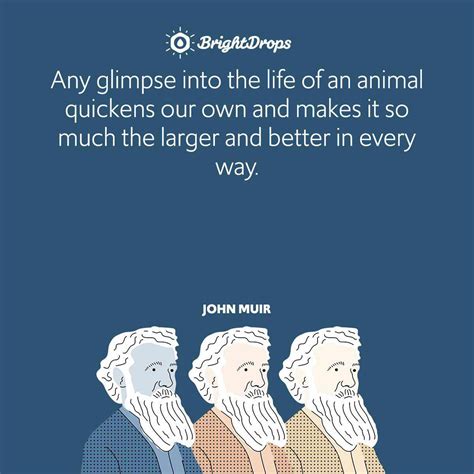 110 John Muir Quotes on Nature, Mountains and the Beauty of The Great ...