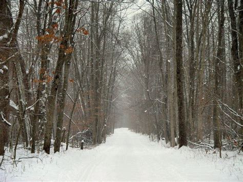 Winter In Michigan Mike Dvorak Flickr