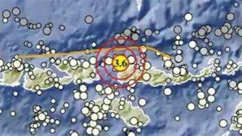 Info Gempa Terkini Bmkg Hari Ini Gempa Bumi Guncang Labuan Bajo