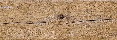 Woodworm Online Discount Shop For Electronics Apparel Toys Books