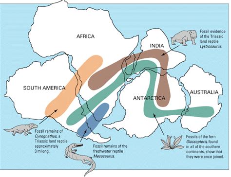 Fossil Map Of Gondwana