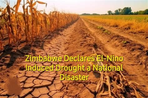 Zimbabwe Declares 2023 2024 El Nino Induced Drought A National Disaster