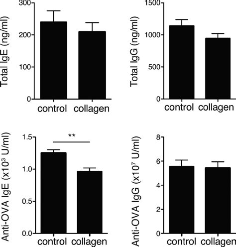 Effects Of Collagen Peptide Administration On Humoral Immune Responses