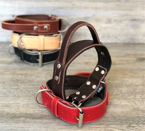 Padded Leather Dog Collar with Handle, Service Dog Collar, Handmade Dog ...