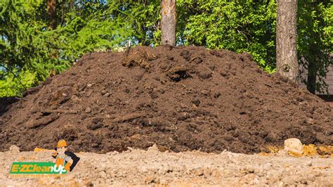 How To Dispose Of Soil What You Must Know Ez Cleanup