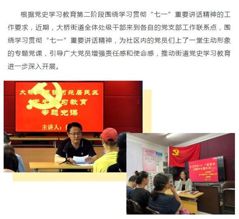 专题党课走新更走心，重要讲话入脑又入心——大桥街道全体处级干部围绕学习“七一”重要讲话开展党课宣讲活动上海市杨浦区人民政府