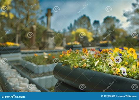 Flowers and Headstones stock image. Image of remembrance - 132308555